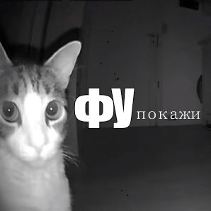 Мой первый мем