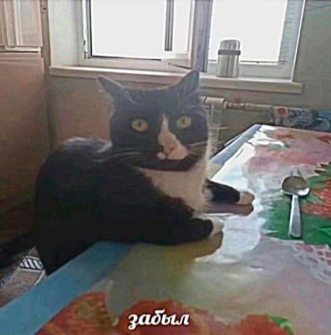 Мой третий мем