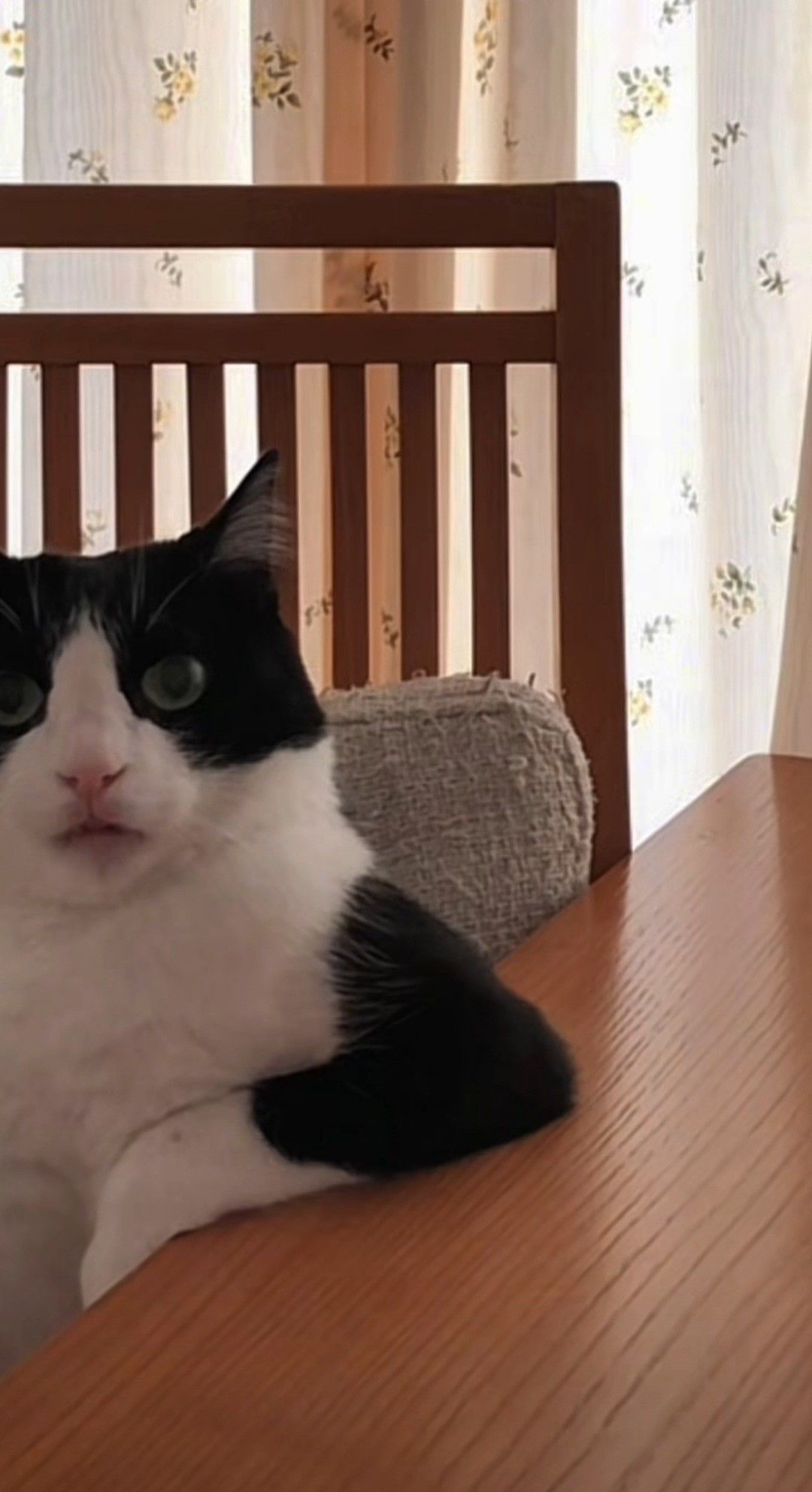 Мой четвертый мем